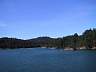IMG_0219.jpg
